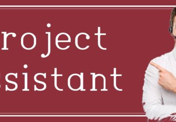 Project Assistant